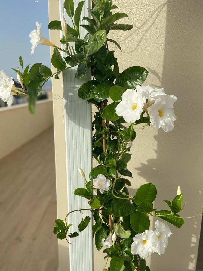Rossini Penthouse Appartement Cagliari Buitenkant foto